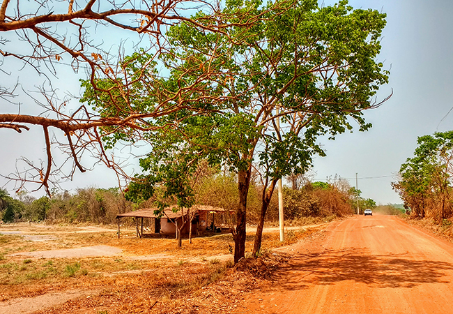 galeria-2 #praCegoVer Setor rural da POF em Cuiabá, no Mato Grosso